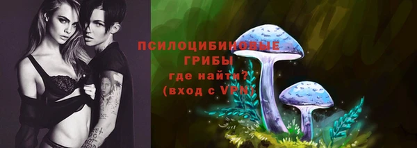 гидропоника Белокуриха