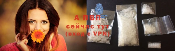 гидропоника Белокуриха