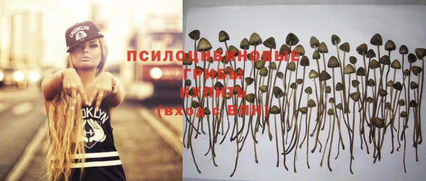гидропоника Белокуриха
