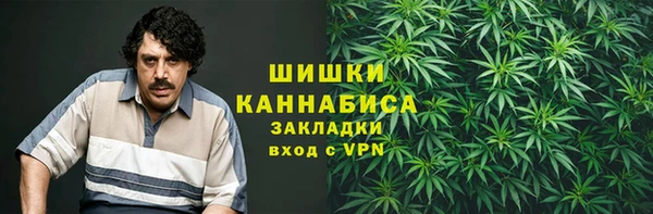 гидропоника Белокуриха
